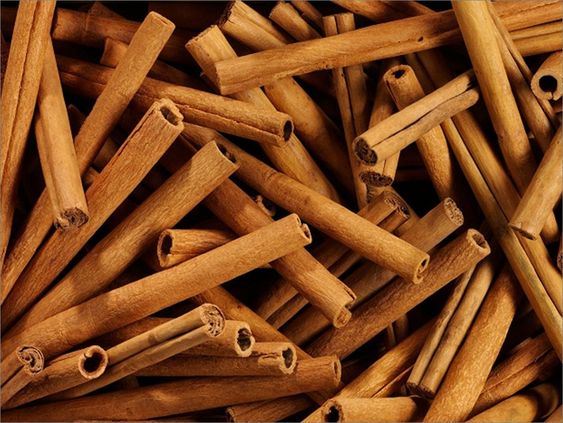 Model wearing plain gray basic tee.