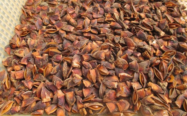 Model wearing plain black basic tee.