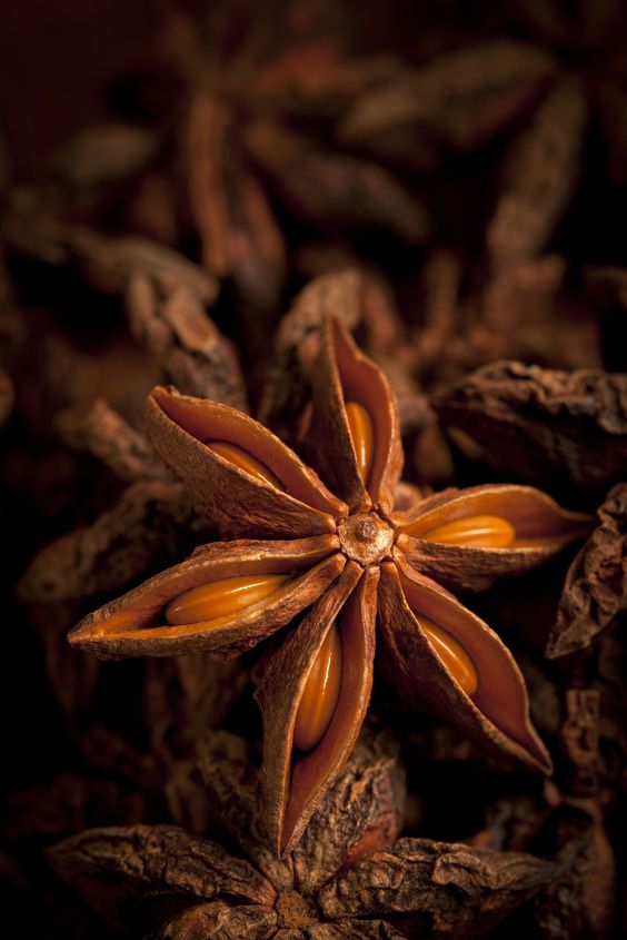Model wearing plain white basic tee.